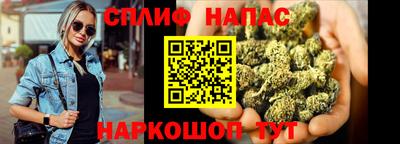 сатива Будённовск