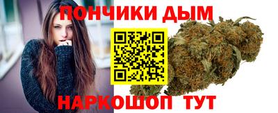 сатива Будённовск